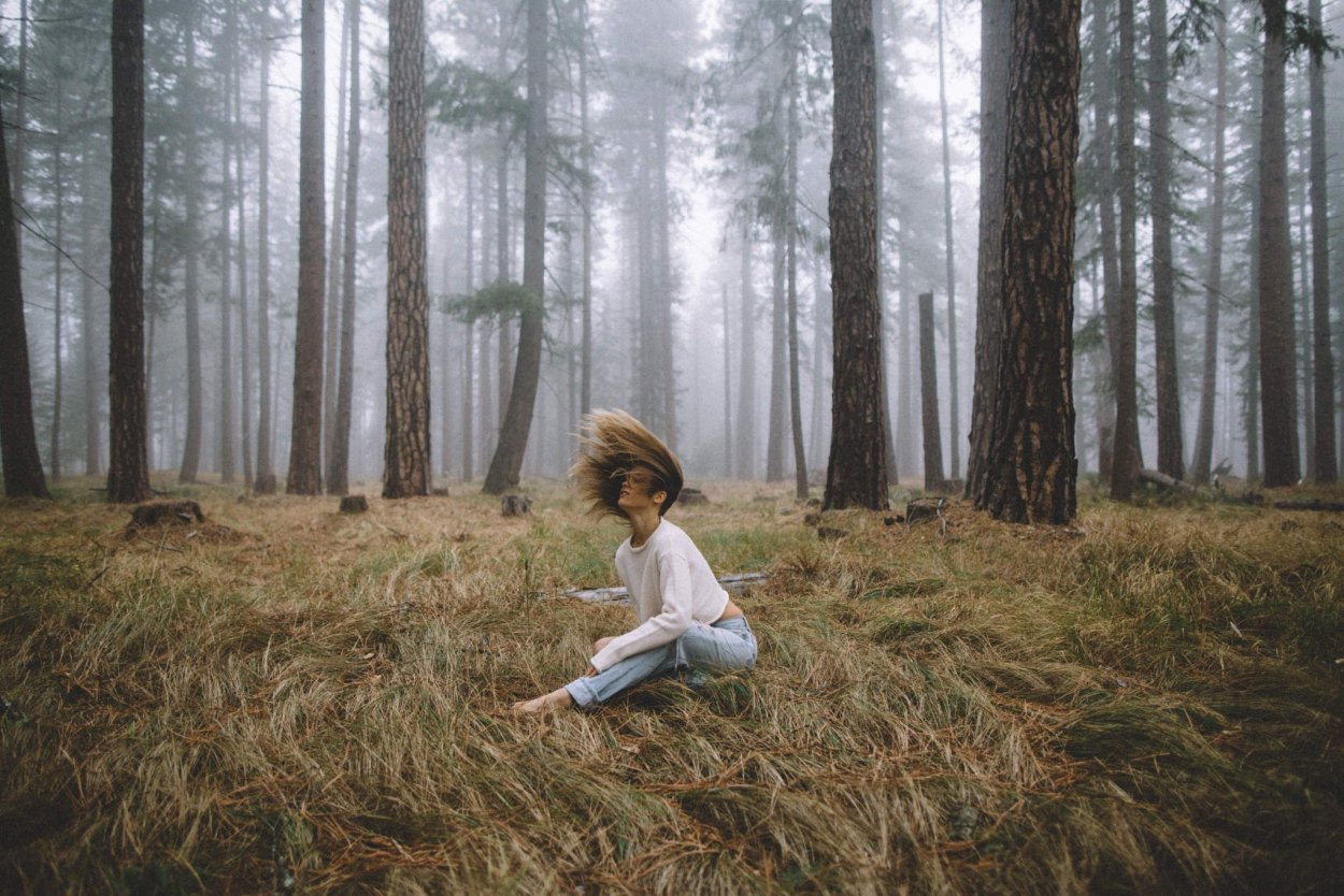 Природа леса Эстетика