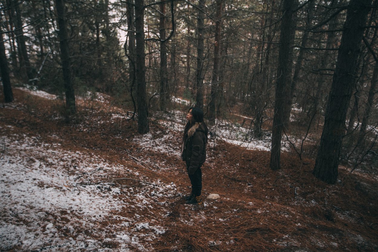 Эстетические пейзажи