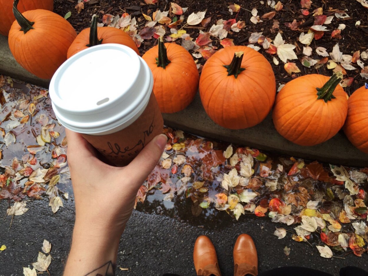 Эстетика осени и Хэллоуина