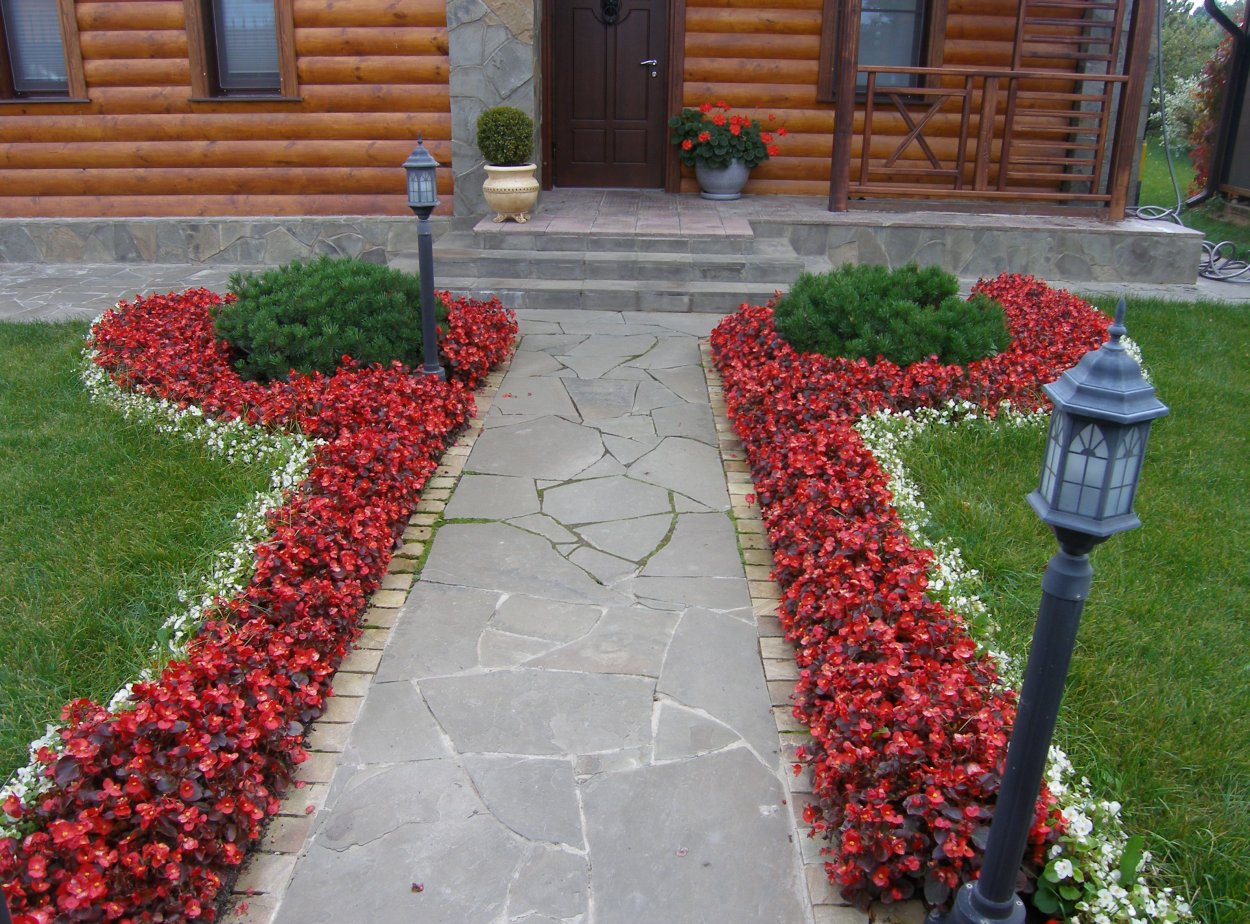 Клумба бабочка