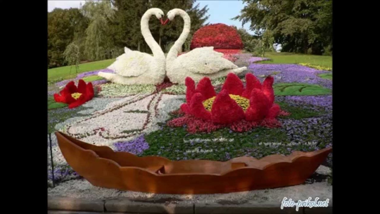 Дубай Миракл Гарден Dubai Miracle Garden
