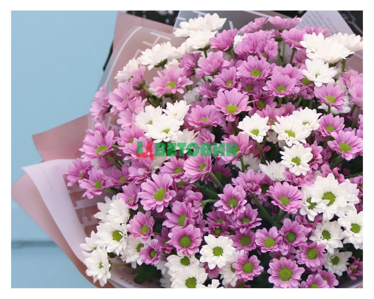 Увядшие хризантемы