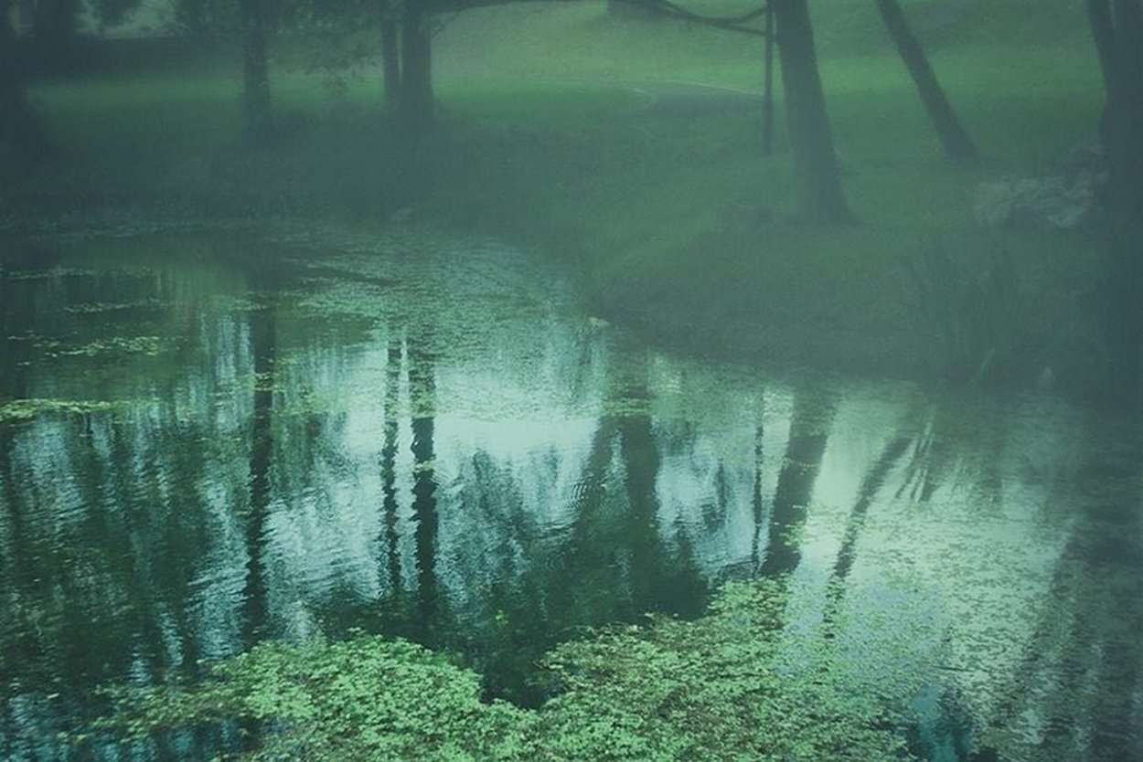 Болото Эстетика