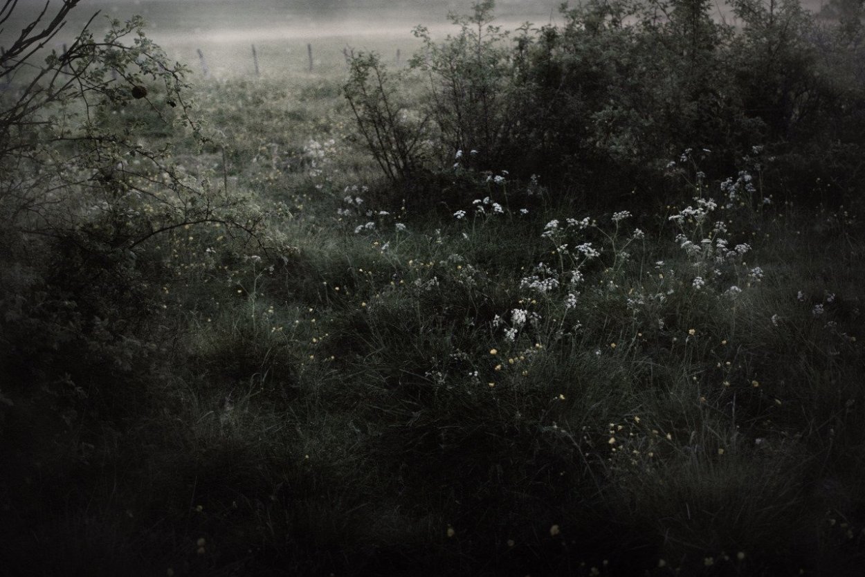 Болотная Топь Эстетика