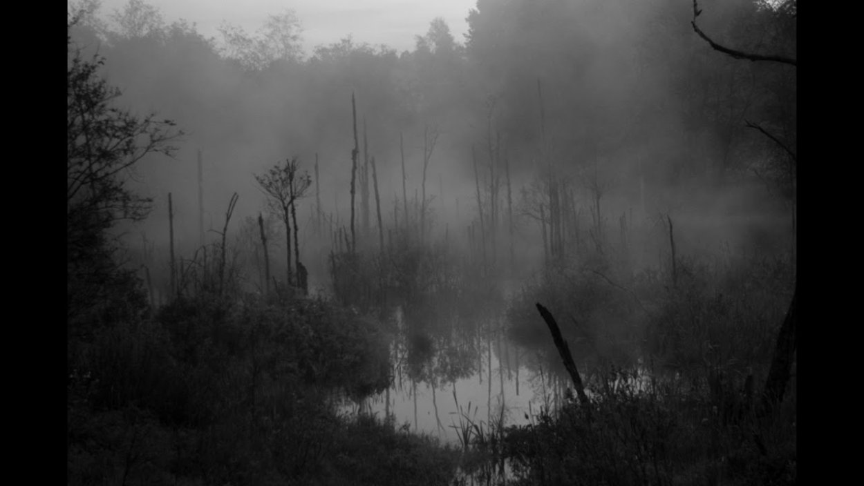 Темные болота