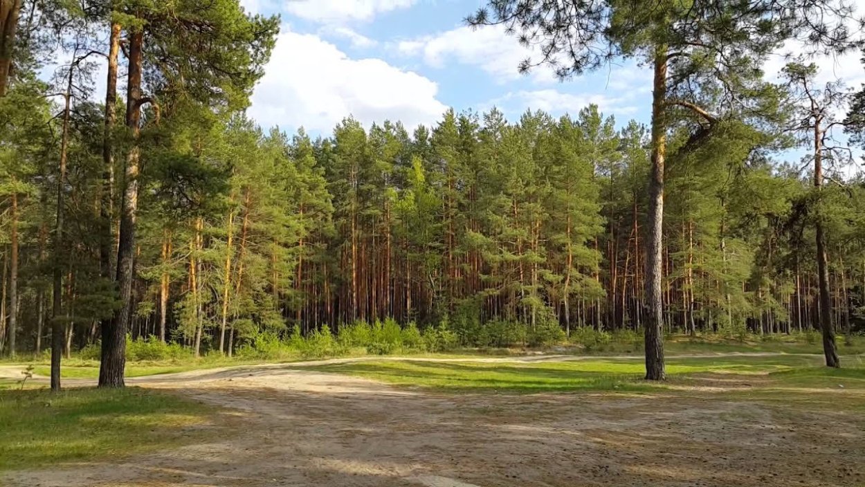 Кудряшовский Бор Новосибирск