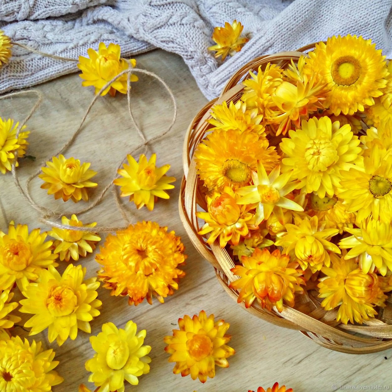 Сухоцвет на желтом лаке