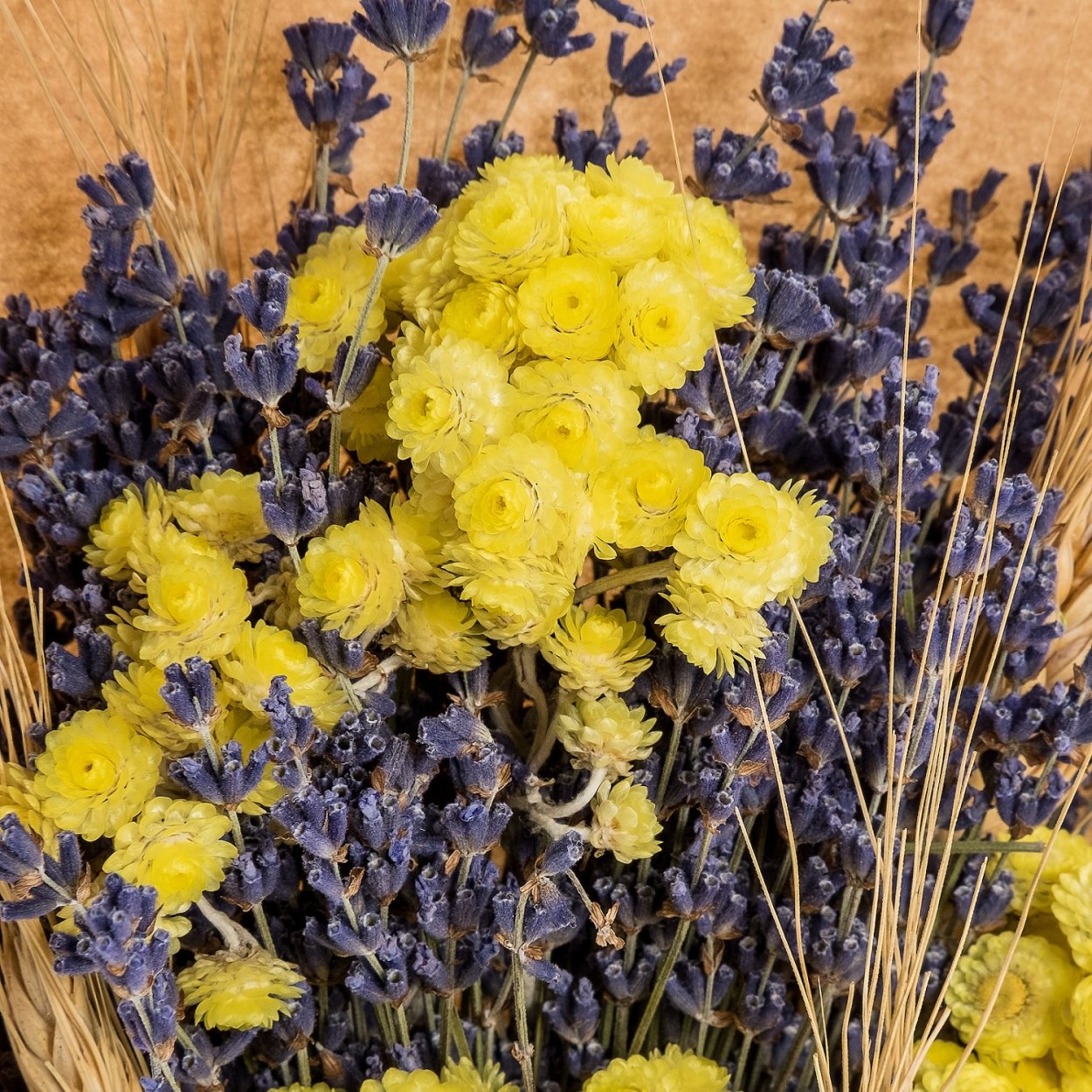 Сухоцветы Wild grass пшеница