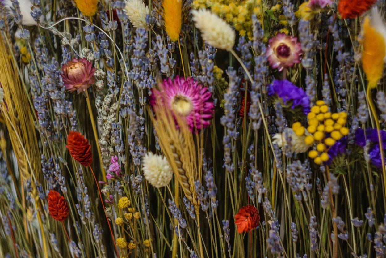 Осень Вдохновение