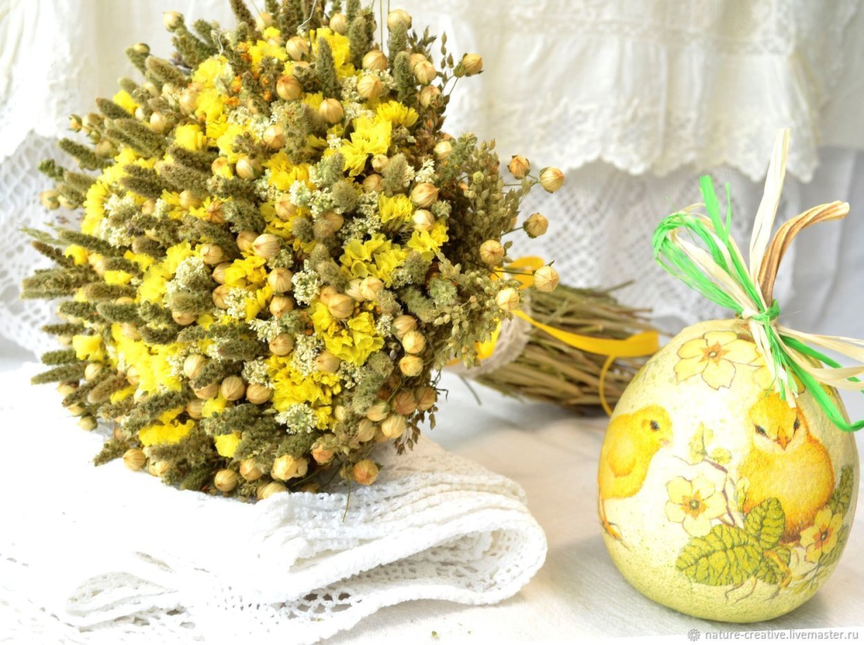 Цветы Краспедия шаровидная