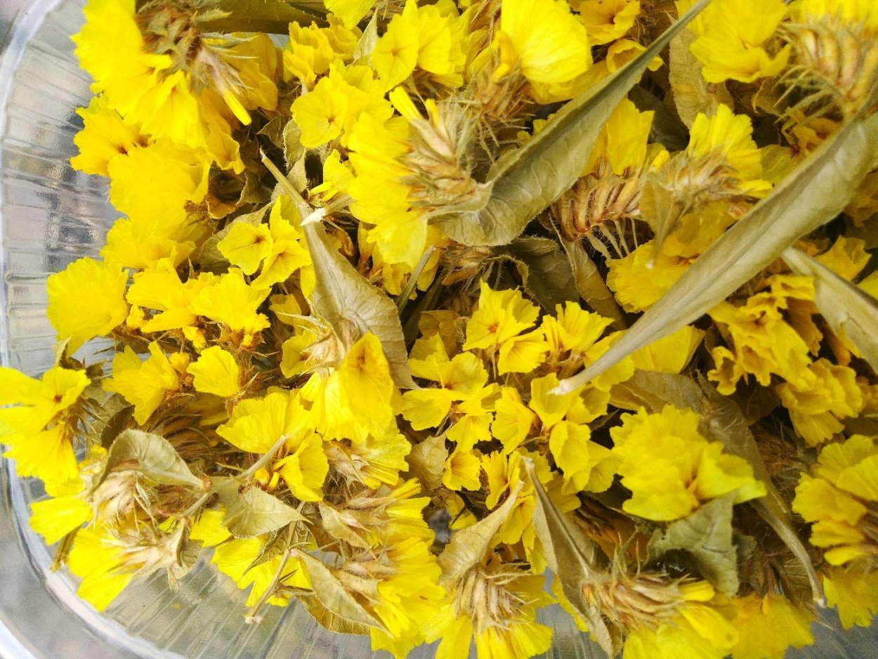 Берг сухоцвет