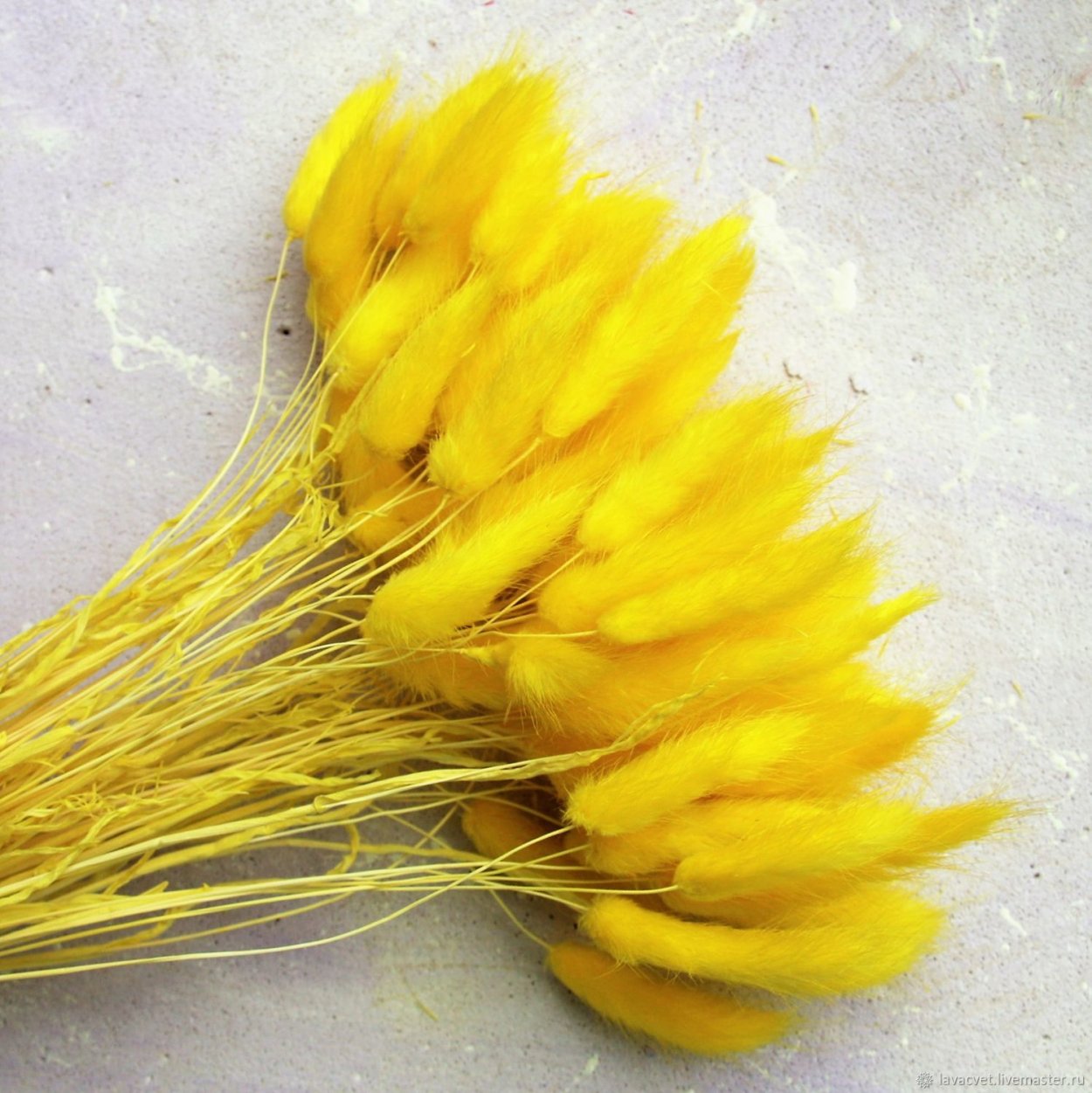 Статица Суприм желтая