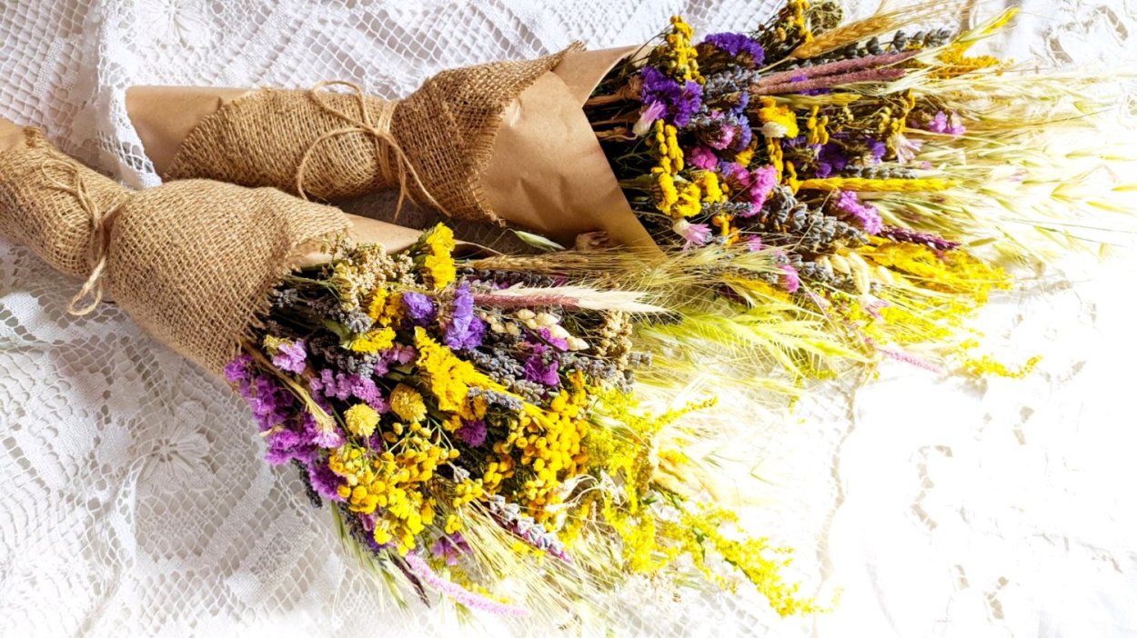 Иммортель сухоцвет