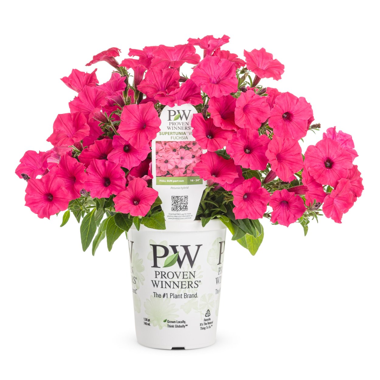 Петуния Виста Petunia Vista Fuchsia