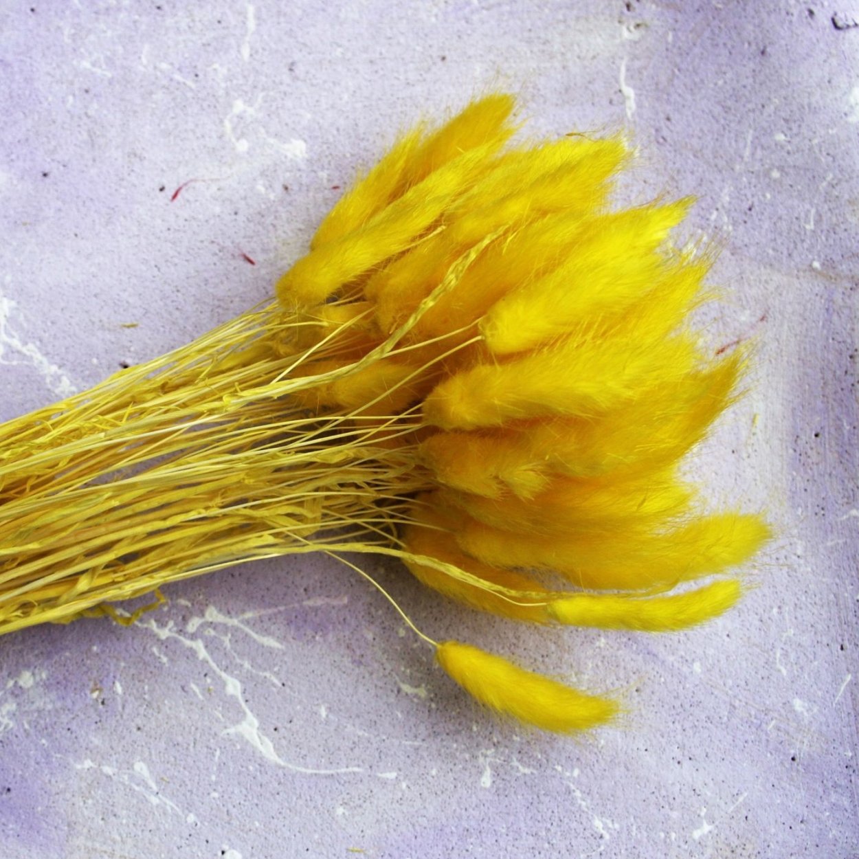 Пижма букет Полынь