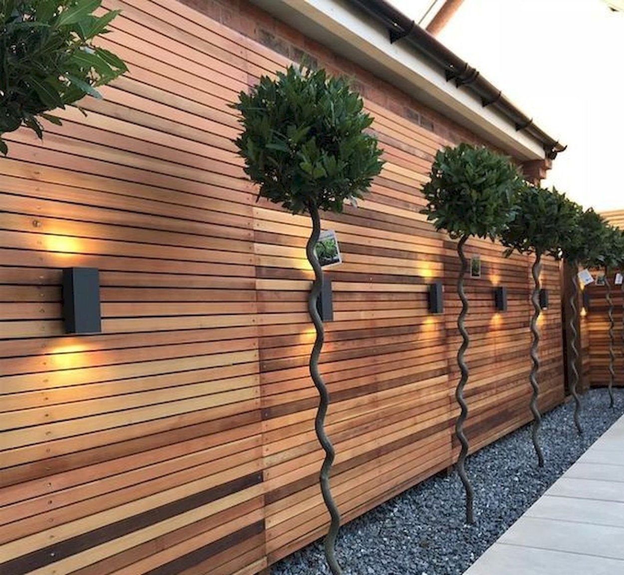 Ива плакучая в ландшафтном