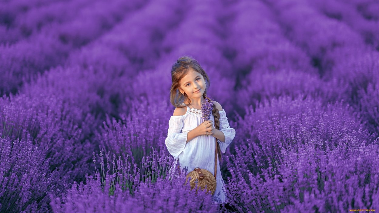 Девочка в лавандовом поле