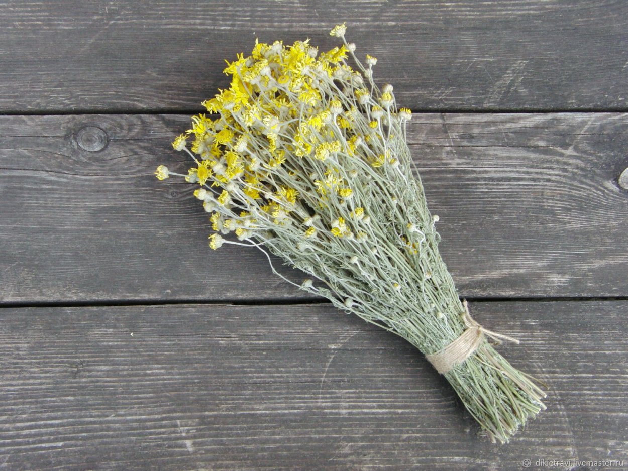Букет диких трав