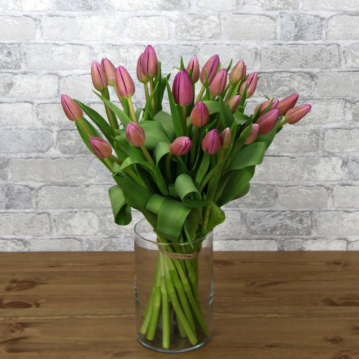 Тюльпан Эприкот Анжелика