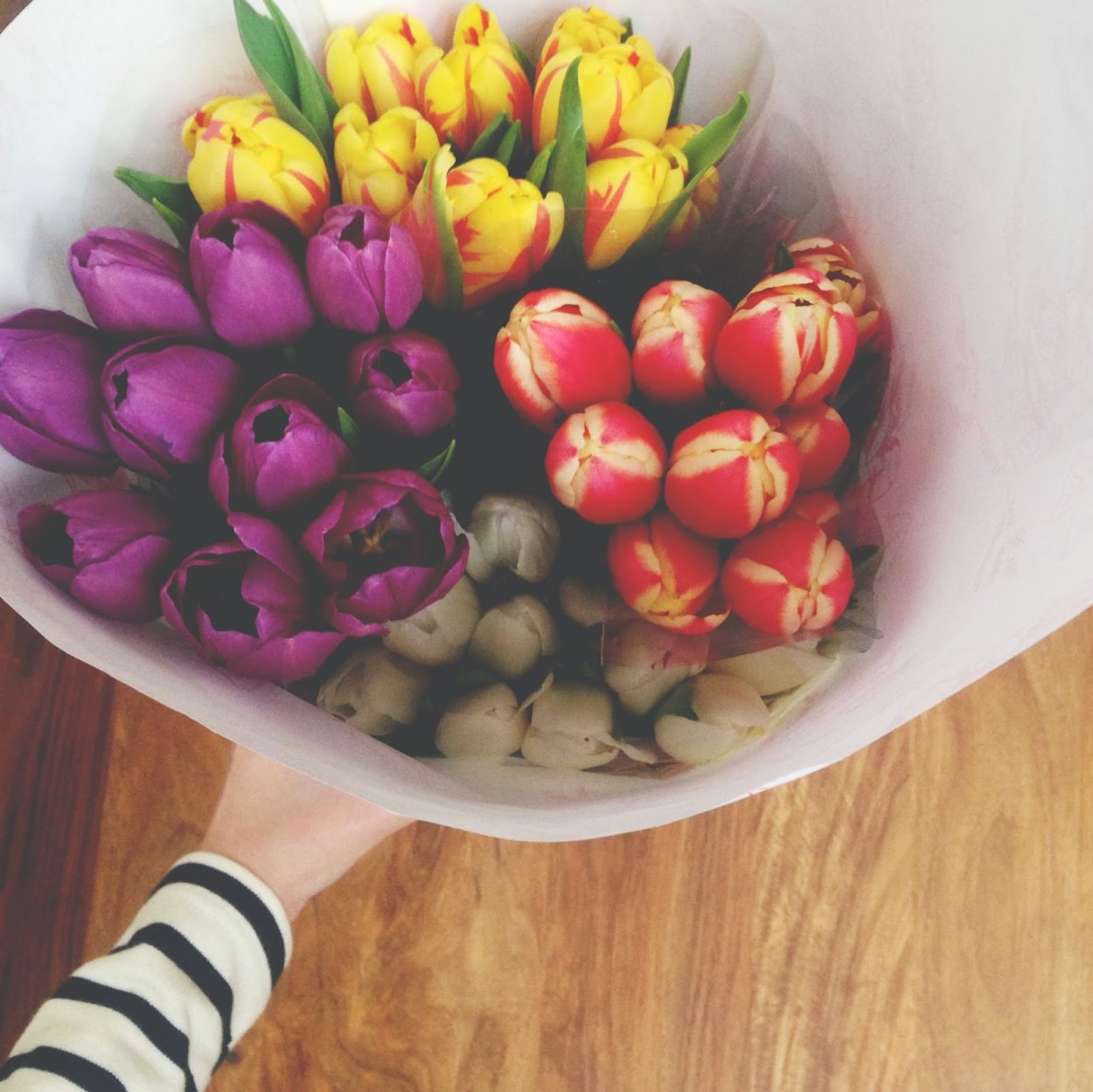 Букет из 35 тюльпанов реальный