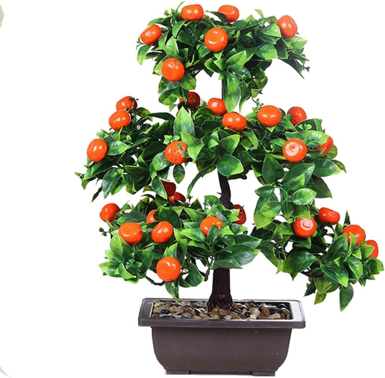 Бонсай апельсин