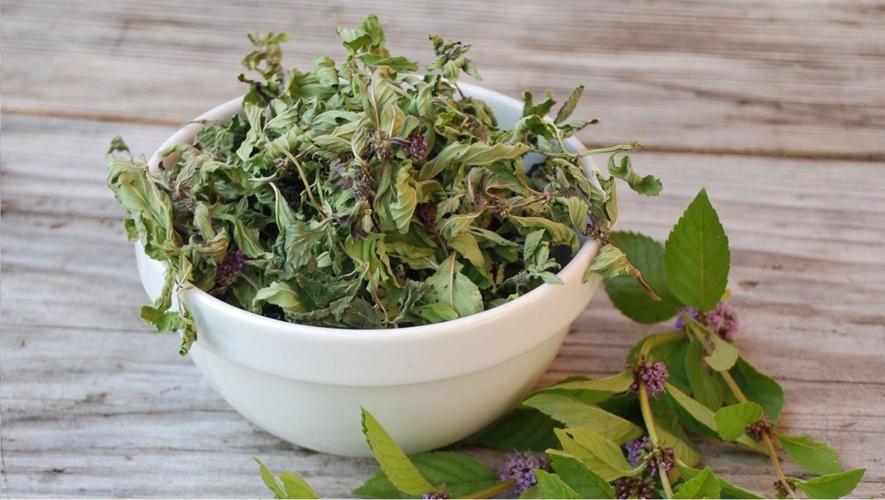 Мята перечная засушенная