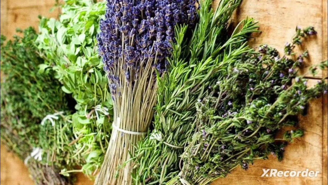 Мята розмарин тимьян шалфей