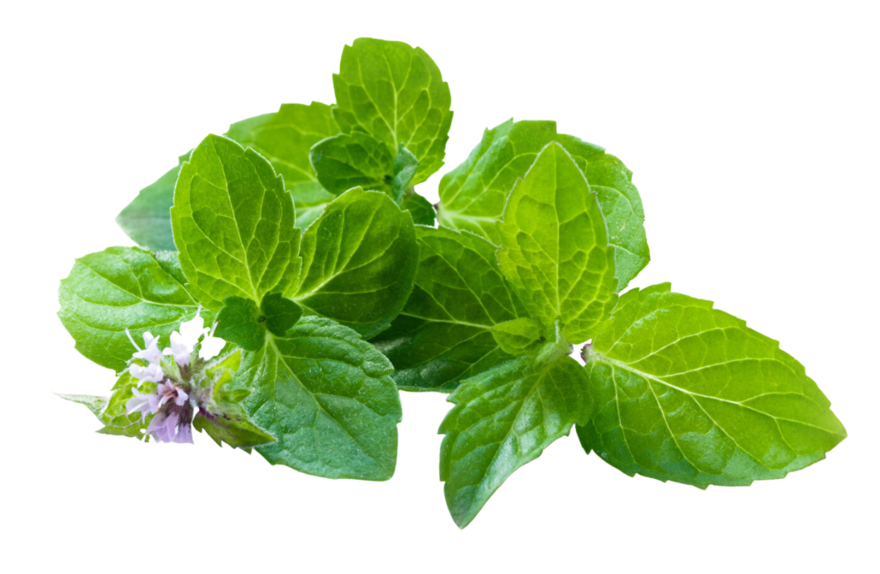 Душица зверобой Мелисса чабрец