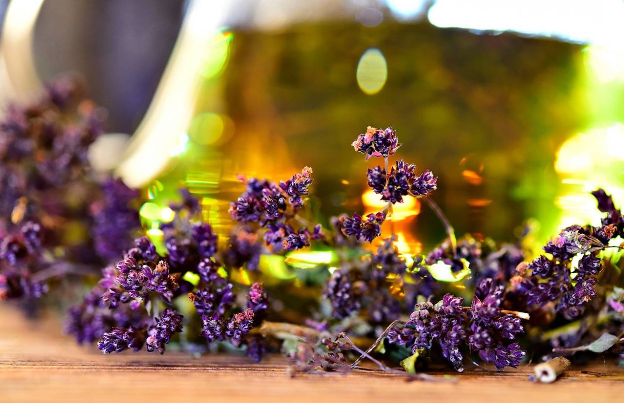 Душица, Лаванда, Хмель