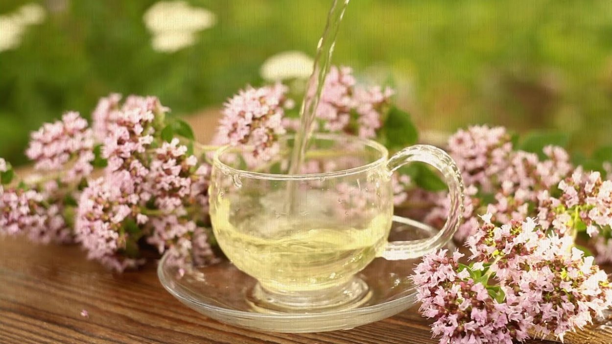 Чай с орегано душицей