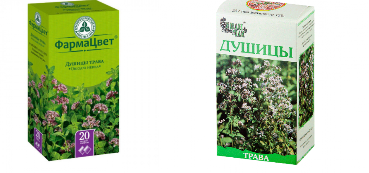 Чай с орегано душицей