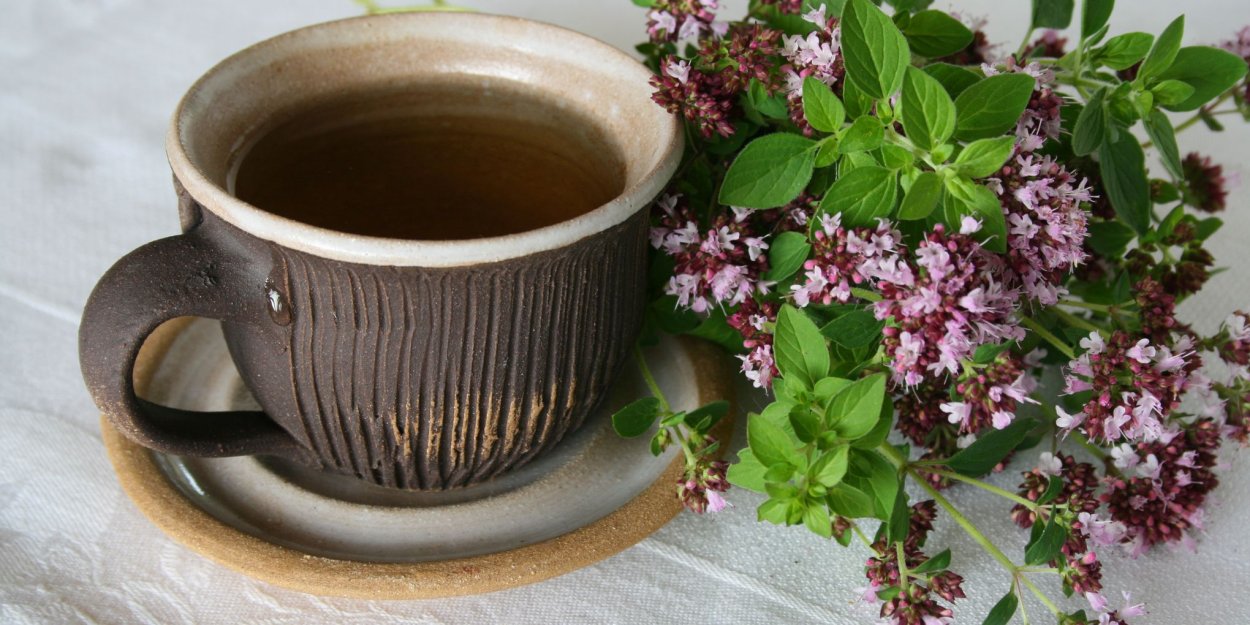 Мята перечная саженцы