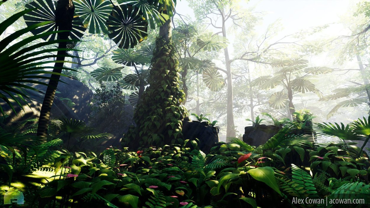 Джунгли мультяшный стиль