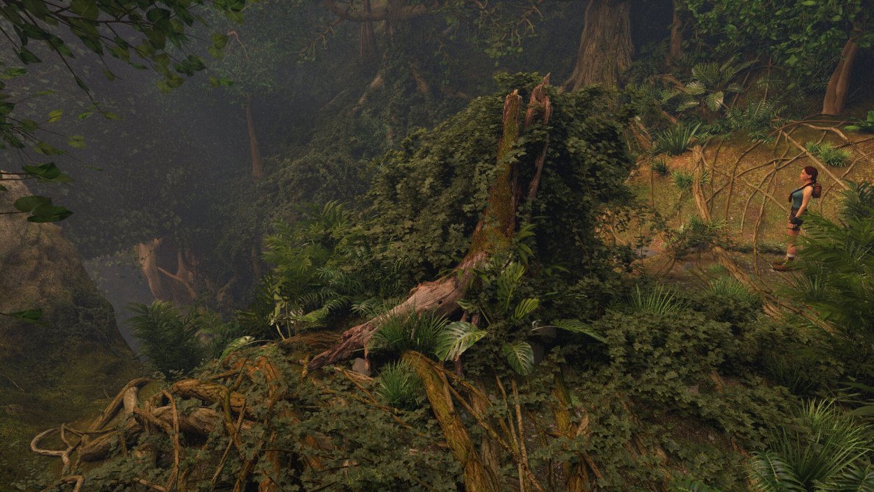 Джунгли Геншин