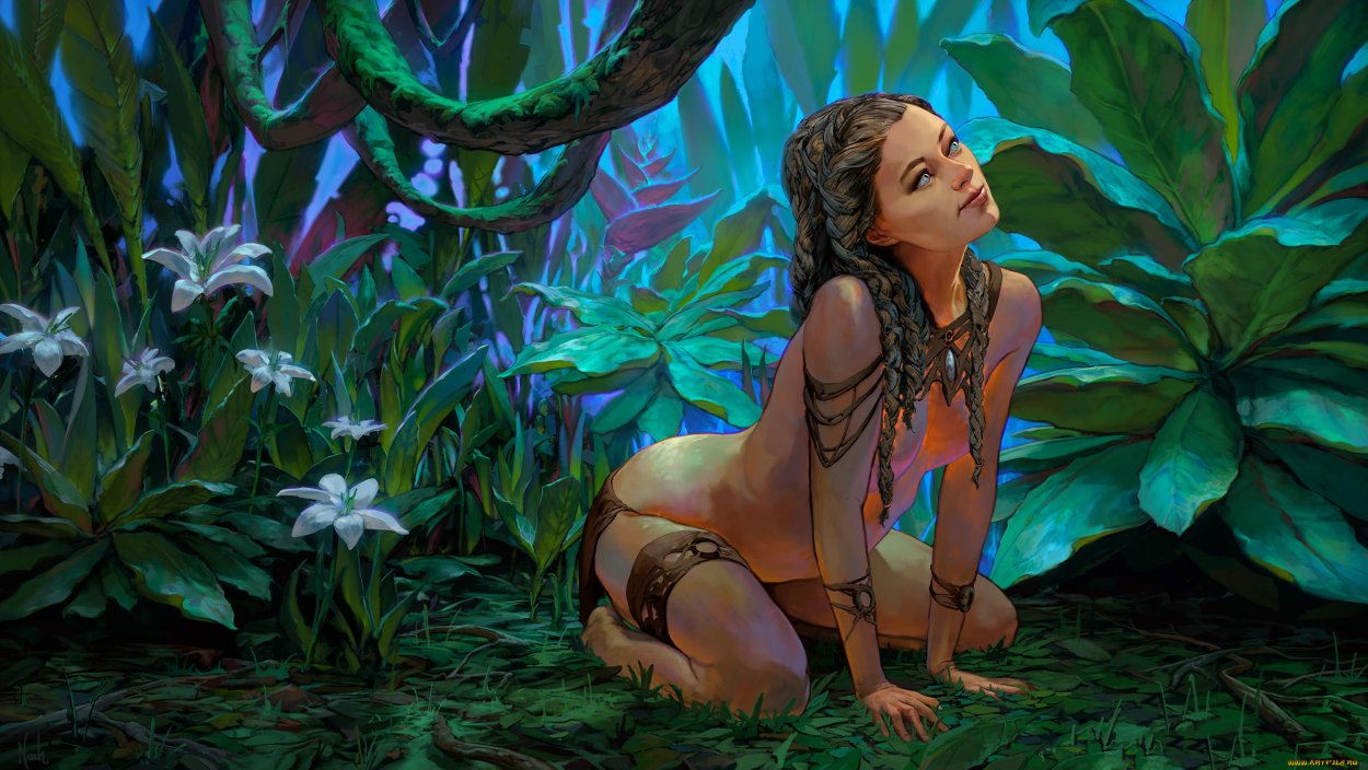 Джунгли арт Геншин