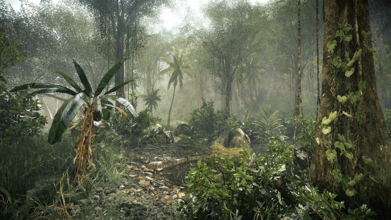 Джунгли узор