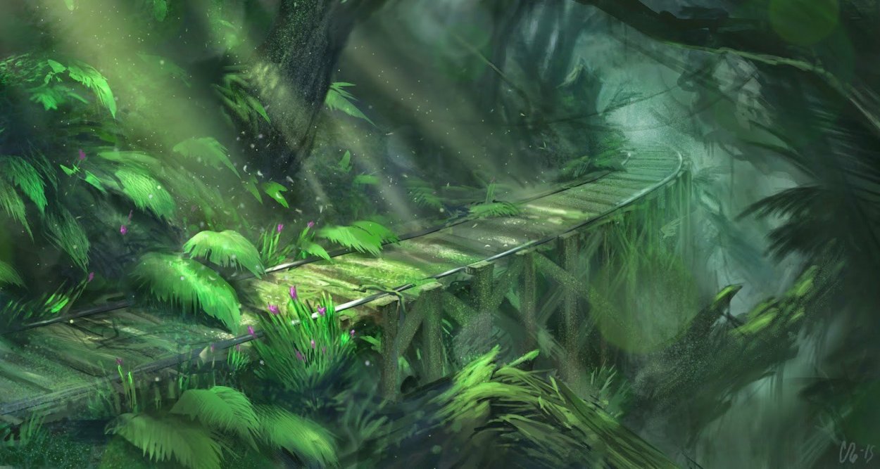 Футаж джунгли