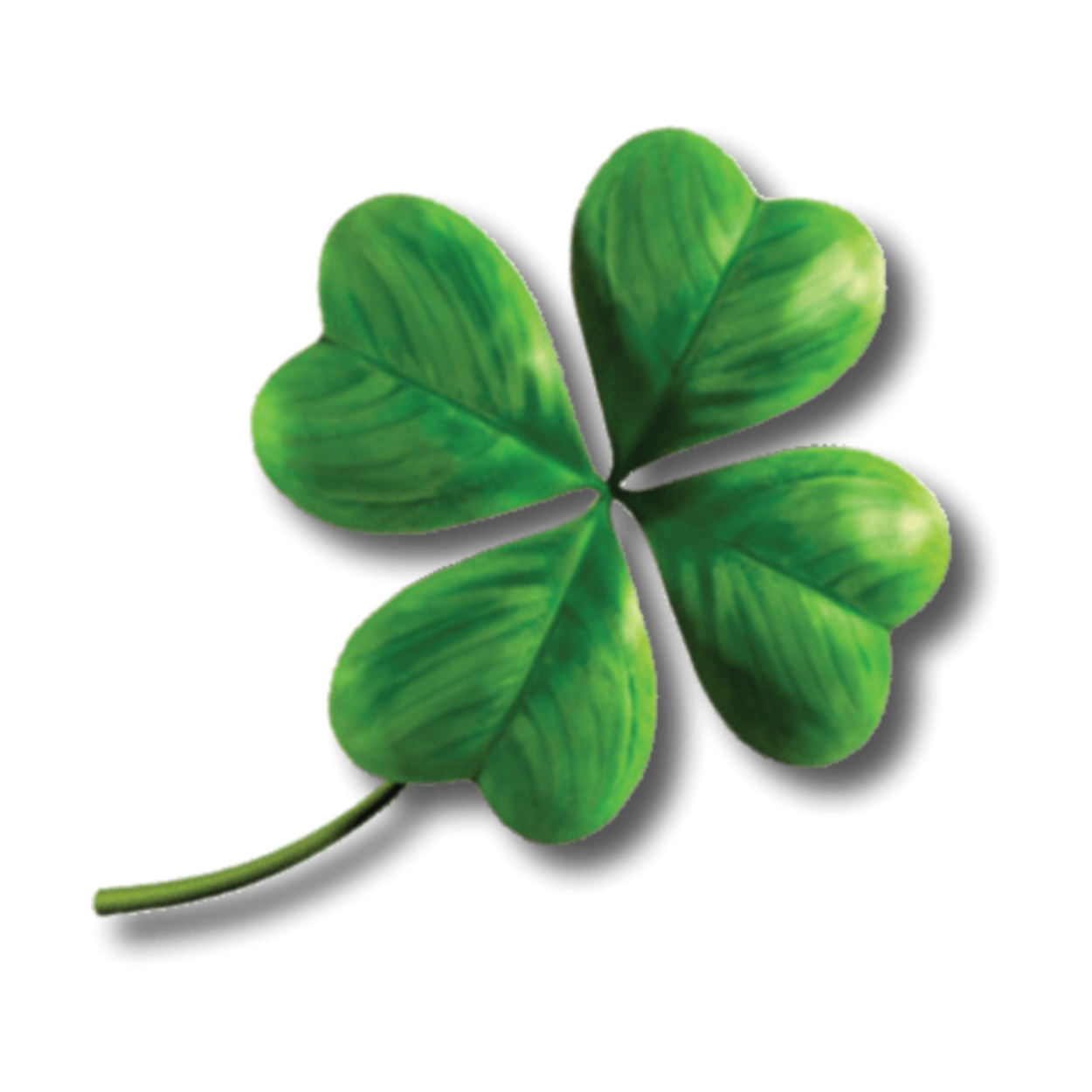 4х листный Клевер