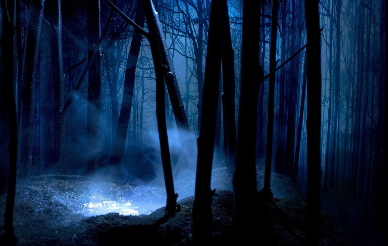 Ночной лес