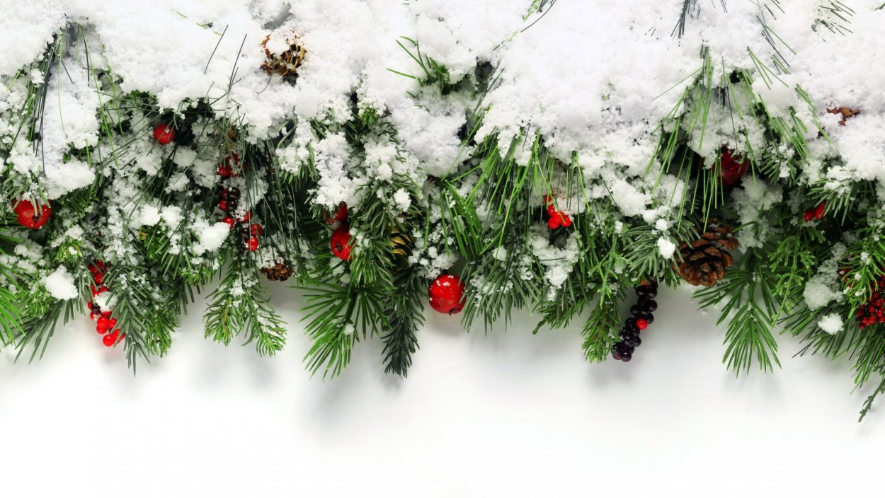 Зимой в лесу