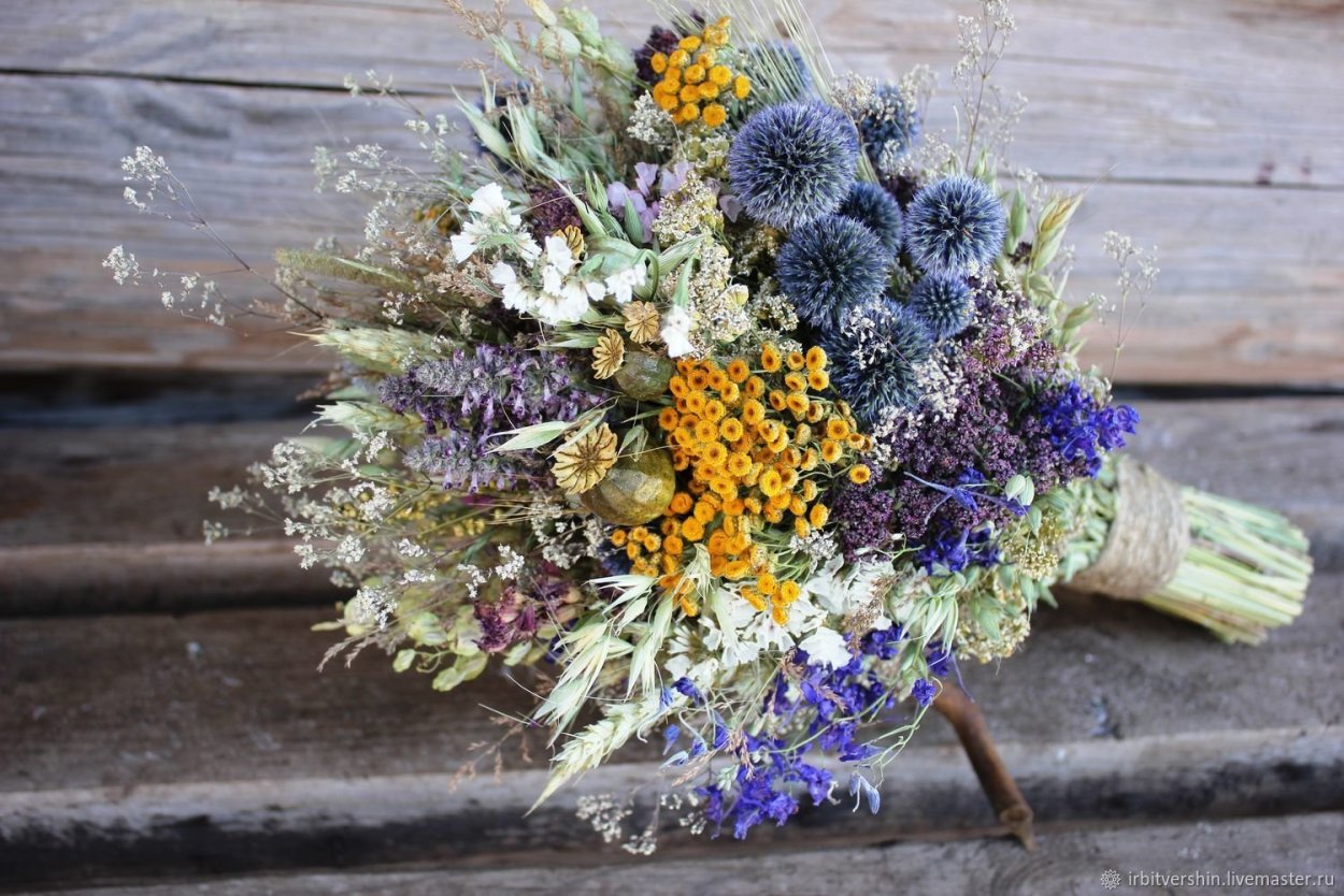 Хилл Флауэр сухоцвет