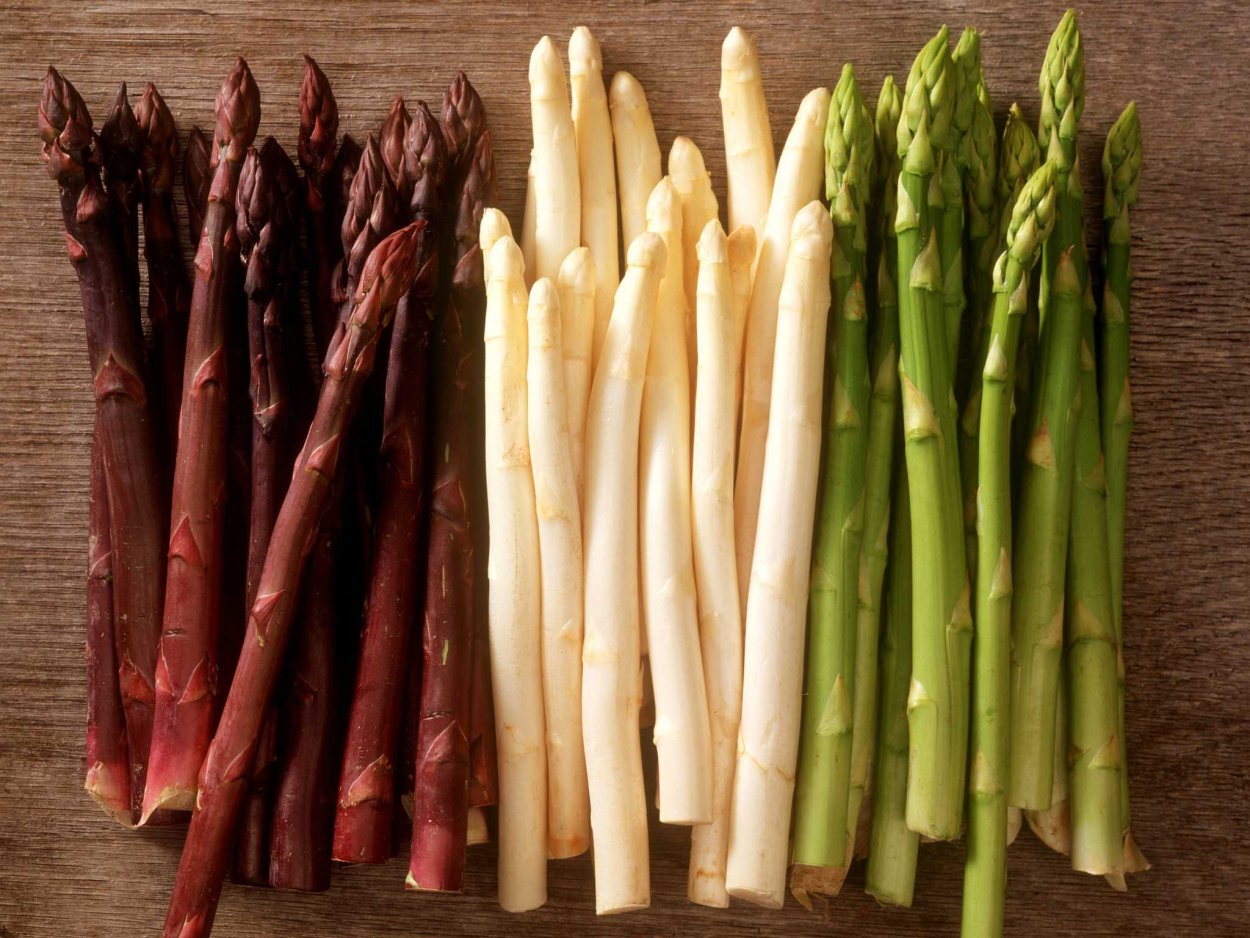 Спаржа Сибирская