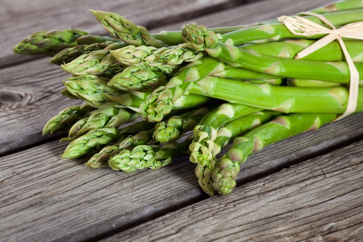 Спаржа (Asparagus officinalis).