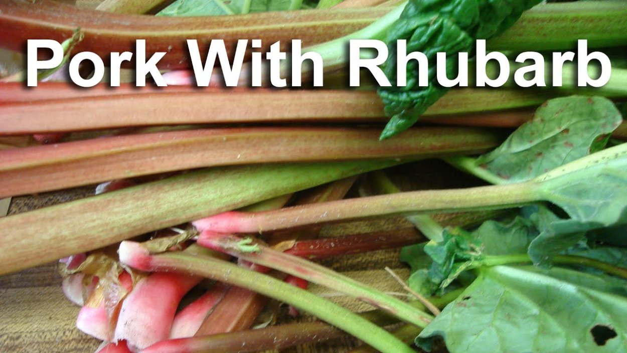 Кислица щавель ревень