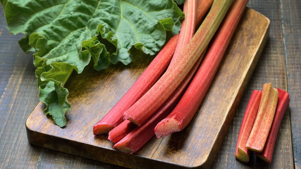 Ревень Сибирский