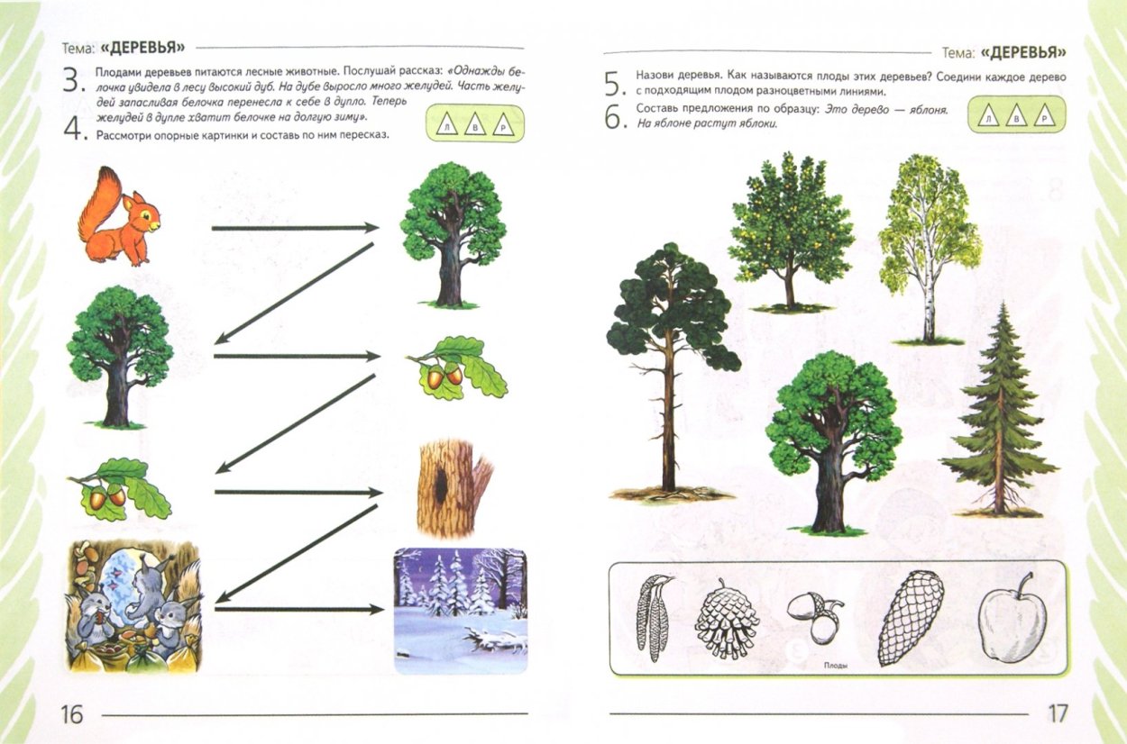 Арбекова деревья и кустарники