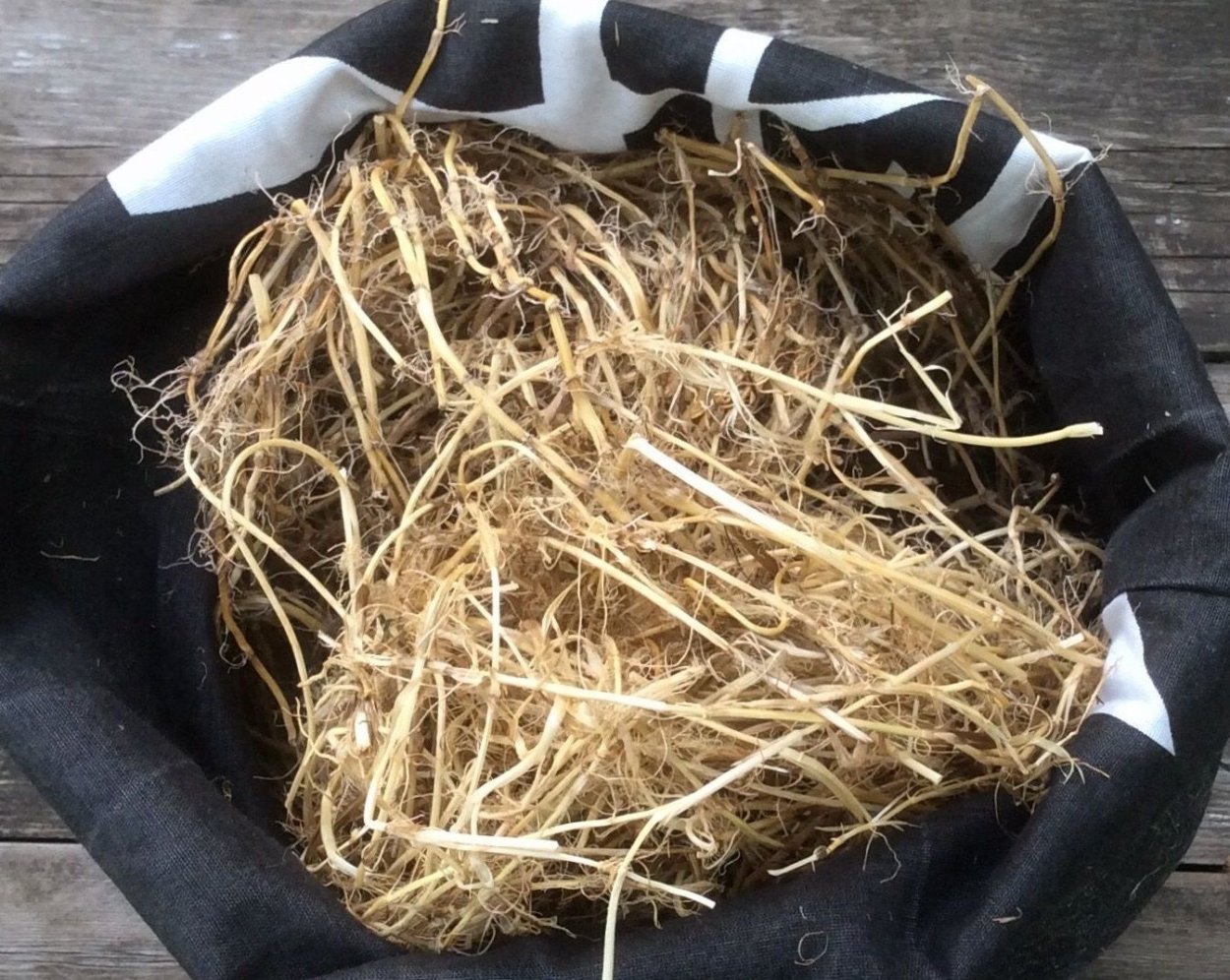 Семейство злаки ковыль