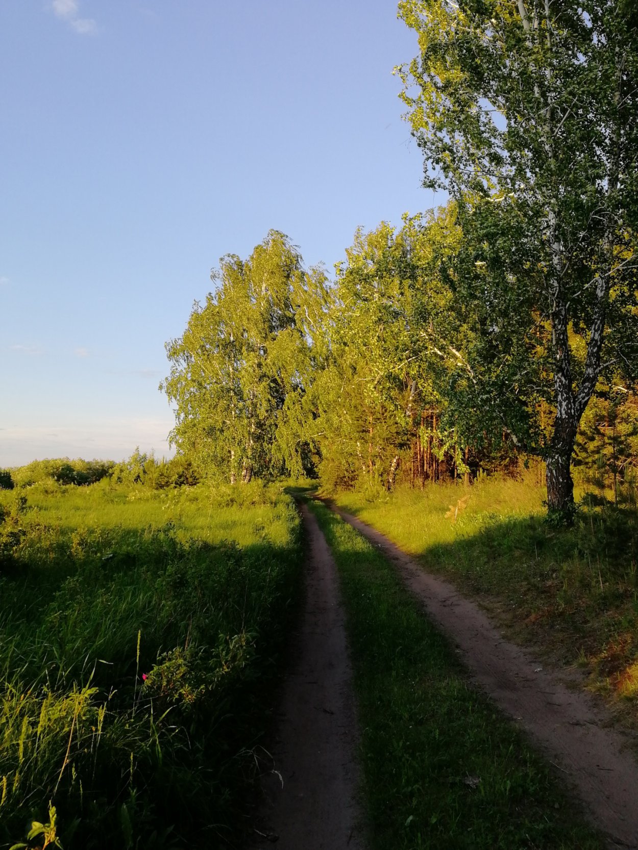 Деревенская тропинка