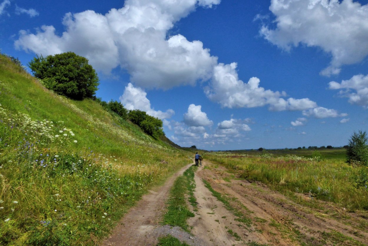 Летняя Проселочная дорога