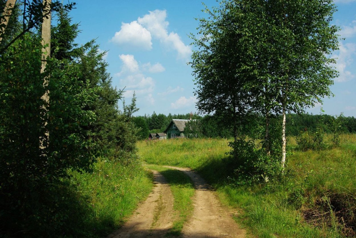 Тропинка летом в селе